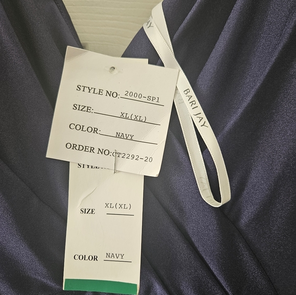 Bari Jay Formal Gown 2000 - Picture 10 of 10